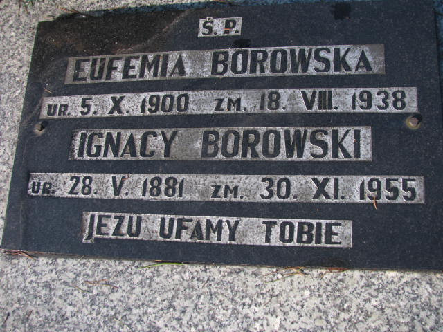 Ignacy Borowski 1881 Wieluń Nawiedzenia NMP - Grobonet - Wyszukiwarka osób pochowanych