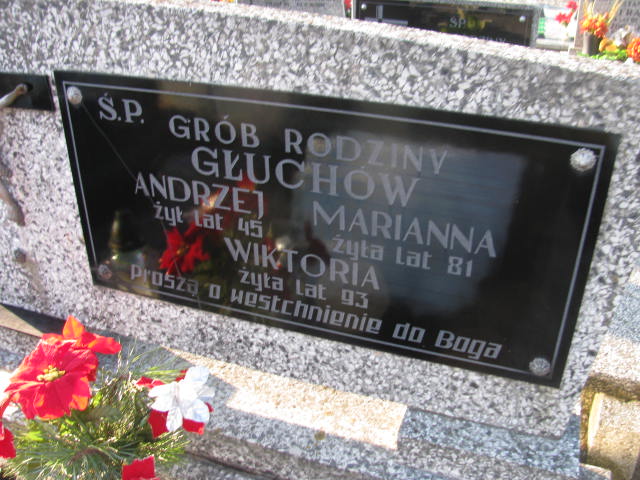 Wiktoria Głuch 1890 Wieluń Nawiedzenia NMP - Grobonet - Wyszukiwarka osób pochowanych