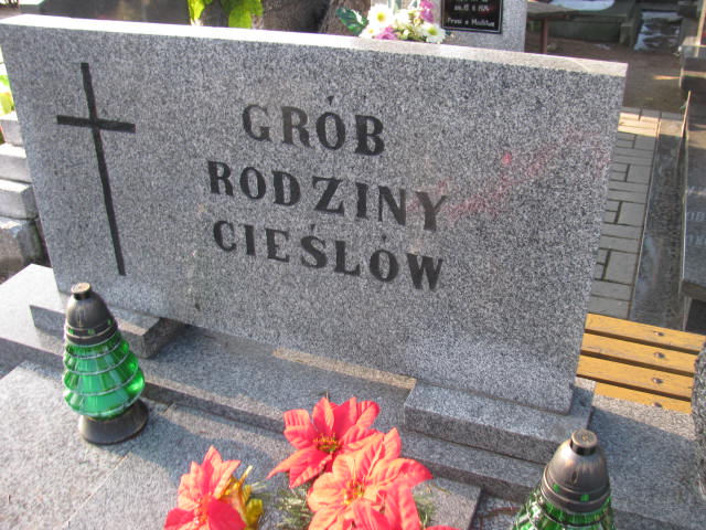 Konstancja Cieśla 1924 Wieluń Nawiedzenia NMP - Grobonet - Wyszukiwarka osób pochowanych