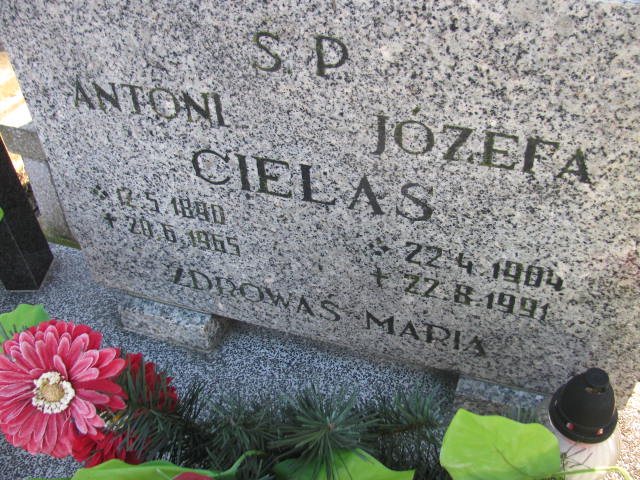 Anna Stępień  1937 Wieluń Nawiedzenia NMP - Grobonet - Wyszukiwarka osób pochowanych