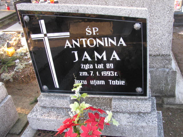 Antonina Jama 1904 Wieluń Nawiedzenia NMP - Grobonet - Wyszukiwarka osób pochowanych