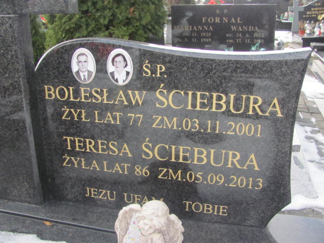Teresa Ściebura 1927 Wieluń Nawiedzenia NMP - Grobonet - Wyszukiwarka osób pochowanych