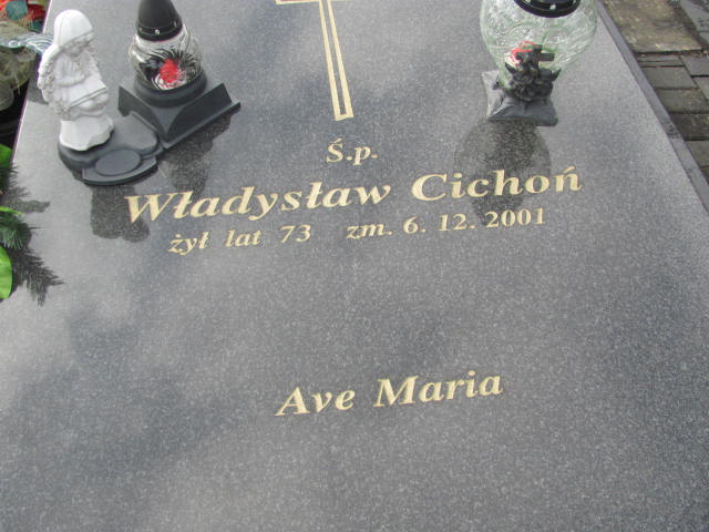 Władysław Cichoń Wieluń Nawiedzenia NMP - Grobonet - Wyszukiwarka osób pochowanych