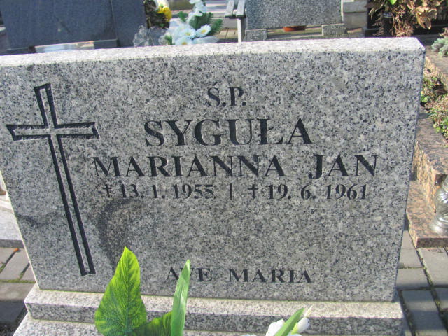 Marianna Syguła 1885 Wieluń Nawiedzenia NMP - Grobonet - Wyszukiwarka osób pochowanych