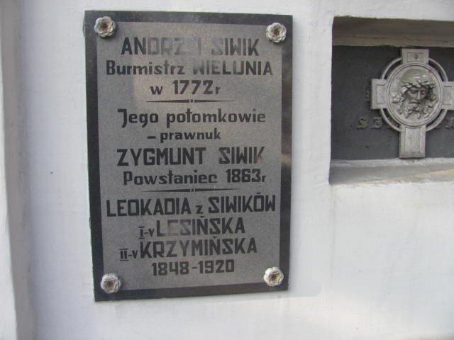 Wanda Grabińska 1880 Wieluń Nawiedzenia NMP - Grobonet - Wyszukiwarka osób pochowanych