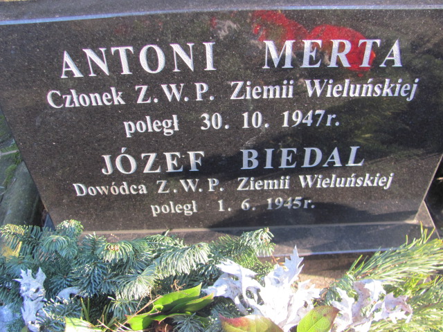 Wiktor Sienkiewicz Wieluń Nawiedzenia NMP - Grobonet - Wyszukiwarka osób pochowanych