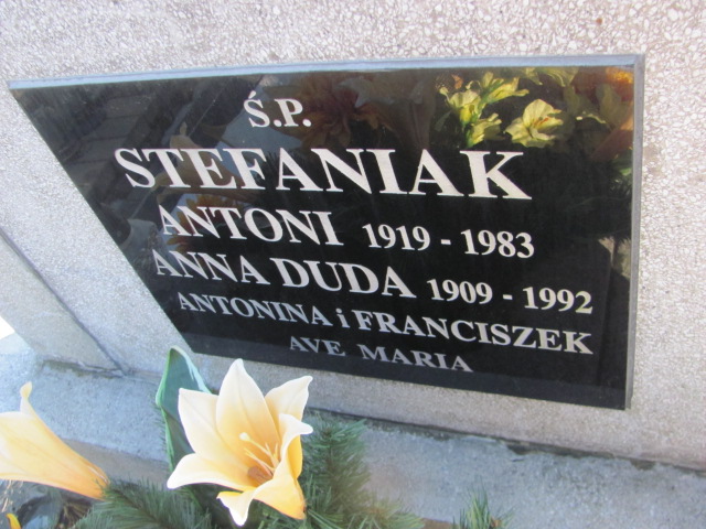 Antonina Zofia Stefaniak 1880 Wieluń Nawiedzenia NMP - Grobonet - Wyszukiwarka osób pochowanych