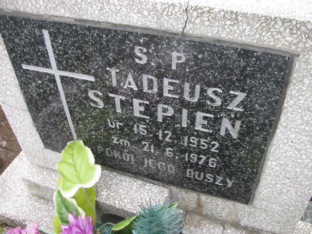 Tadeusz Stępień 1952 Wieluń Nawiedzenia NMP - Grobonet - Wyszukiwarka osób pochowanych
