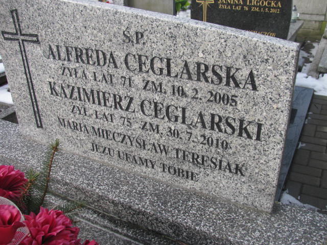 Marianna Teresiak 1870 Wieluń Nawiedzenia NMP - Grobonet - Wyszukiwarka osób pochowanych