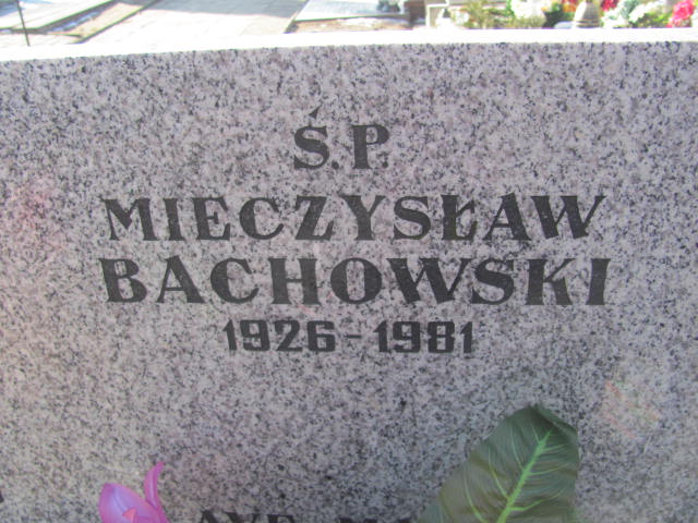 Barbara Bachowska  1932 Wieluń Nawiedzenia NMP - Grobonet - Wyszukiwarka osób pochowanych