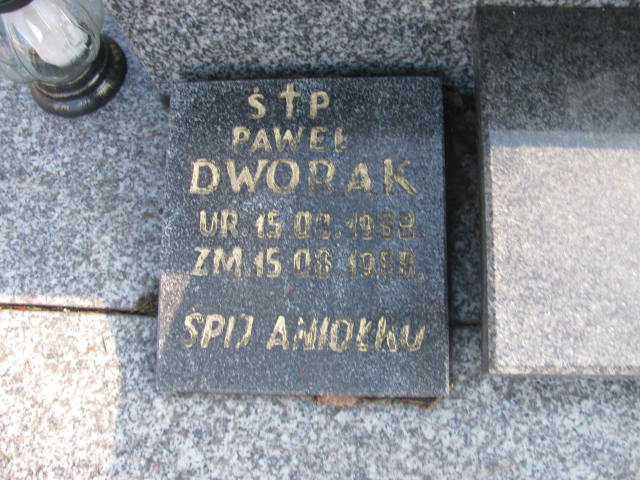 Władysław Zenon Paluch 1923 Wieluń Nawiedzenia NMP - Grobonet - Wyszukiwarka osób pochowanych