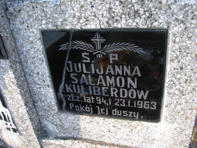 Julijanna Salamon 1869 Wieluń Nawiedzenia NMP - Grobonet - Wyszukiwarka osób pochowanych